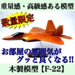 F-22_4985396013338
