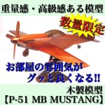 P-51MBMUSTANG_4985396013376